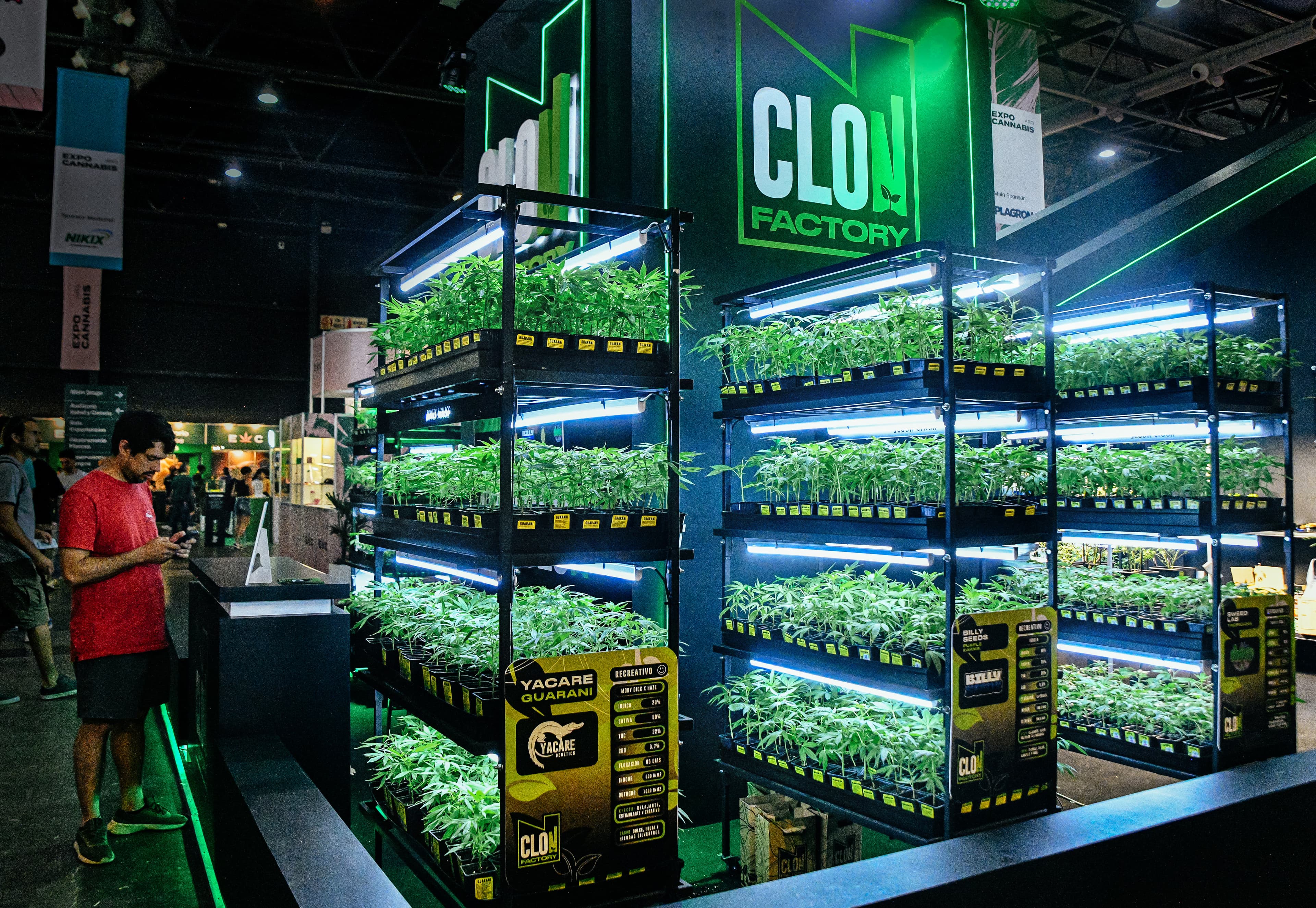 Exhibición de plantas en Expo Cannabis