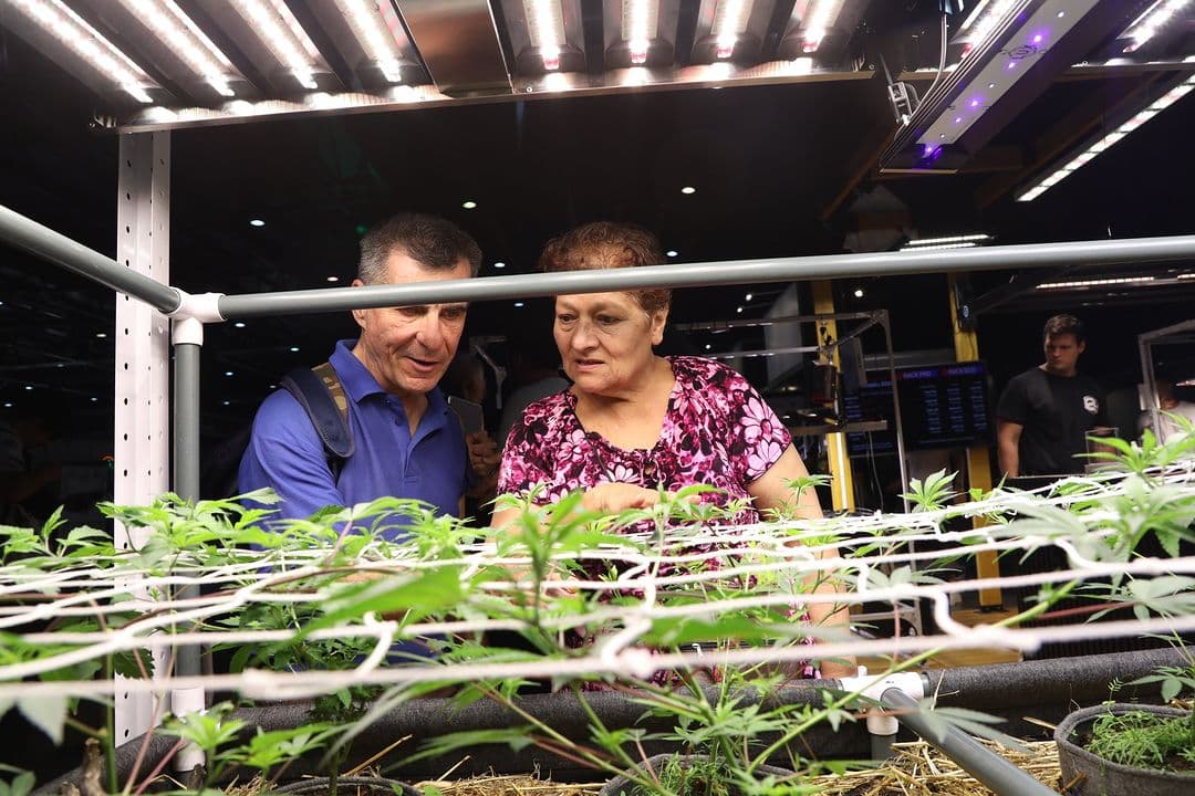 Visitantes observando plantas